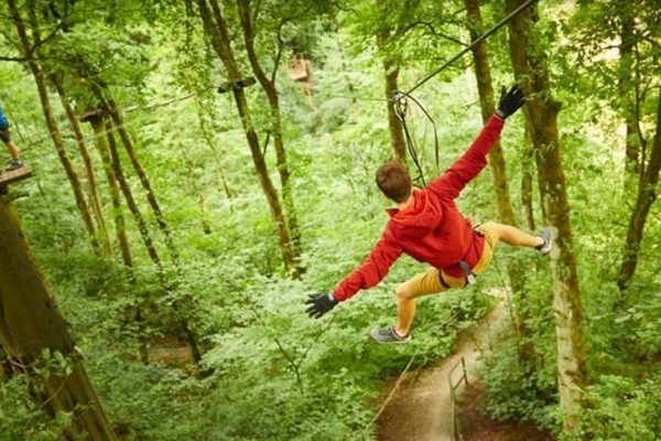 Kids Days Out at Go ape in Chelmsford
