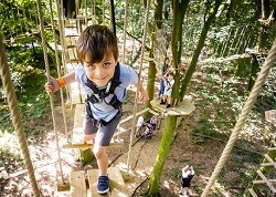 Go Ape Locations Near You Kids Days Out