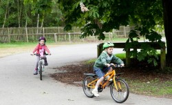 Hayball Bike Hire, Salisbury