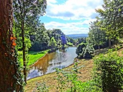 Gardens in Somerset