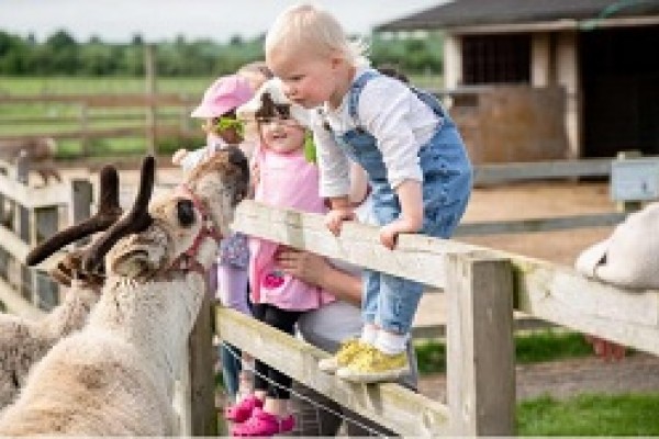 Day out with the kids Buckinghamshire