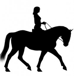 Horseriding disabled Liverpool