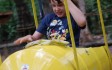 jungle-parc.jpg