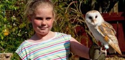 Owls at Kelburn Country Park