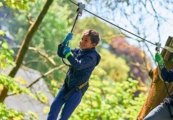 Kids Days Out Cannock Chase Kids Days Out Cannock Chase