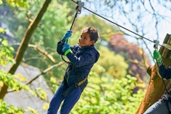 Kids Days Out Cannock Chase