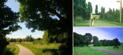 Image of Countess of Chester Park Scenes including hard pathway through trees, picnic area and dog walking 