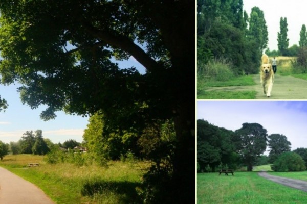 Image of Countess of Chester Park Scenes including hard pathway through trees, picnic area and dog walking 