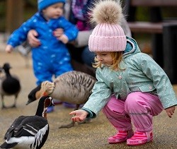 Kids Days Out County Down