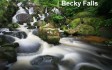 kids-days-out-dartmoor.jpg