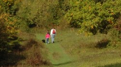 Family having a walk in the woods on their day out in Henley on Thames, Berkshire