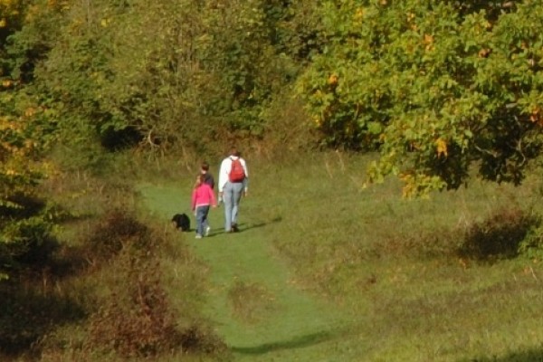 Family having a walk in the woods on their day out in Henley on Thames, Berkshire
