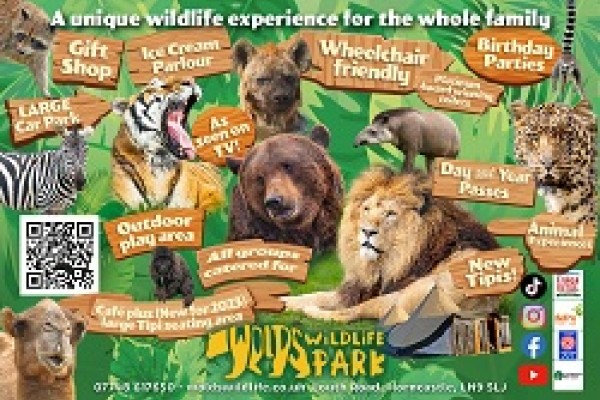 Kids Days Out in Lincolnshire