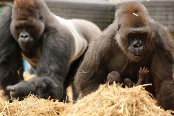 Kids Days Out Kent