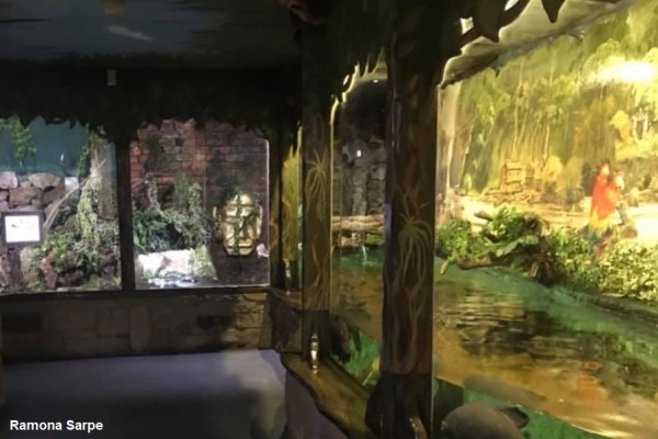 Aquariums with displays of fish and creatures at Matlock aquarium