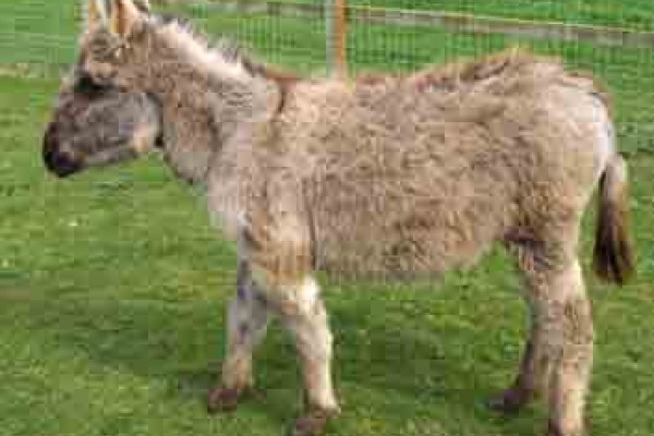 Kids Days Out Newton Stewart