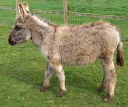 Kids Days Out Newton Stewart Kids Days Out Newton Stewart