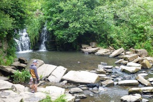 Penllergare Woods, Swansea