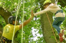 Girl climbing tree with ropes on their Kids Day Out