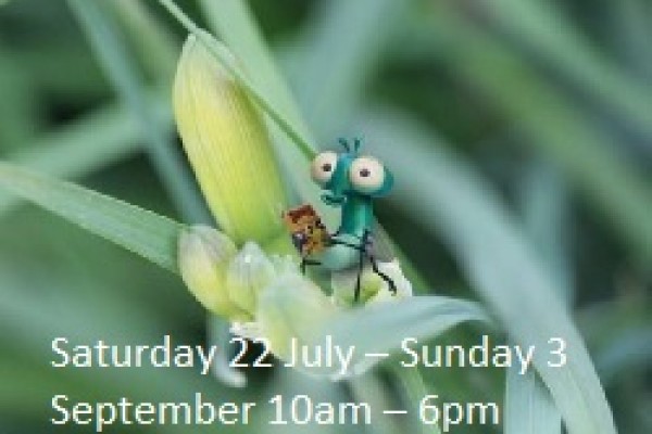 Summer fun activities at RHS Rosemoor