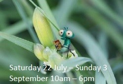 Summer fun activities at RHS Rosemoor Summer fun activities at RHS Rosemoor