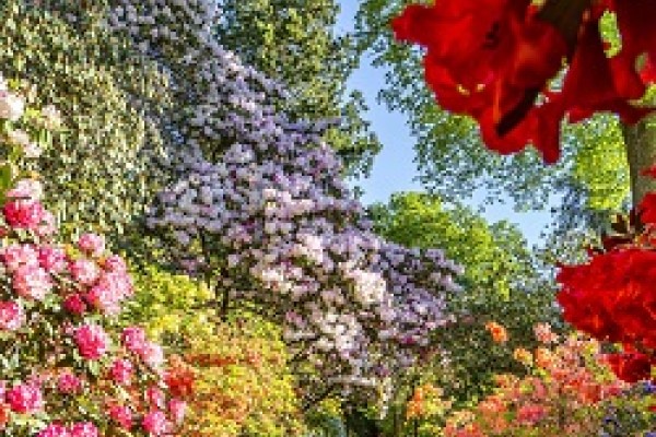 Leonardslee Gardens in Sussex