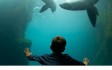 living-coast-aquariumljpg.jpg
