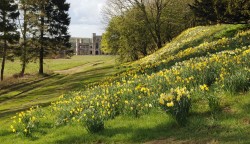 Lowther Castle & Gardens, near Penrith