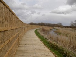 Nature reserve in Norfolk