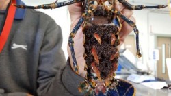 Days out with kids Northumberland