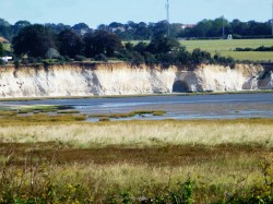 Country Park Kent