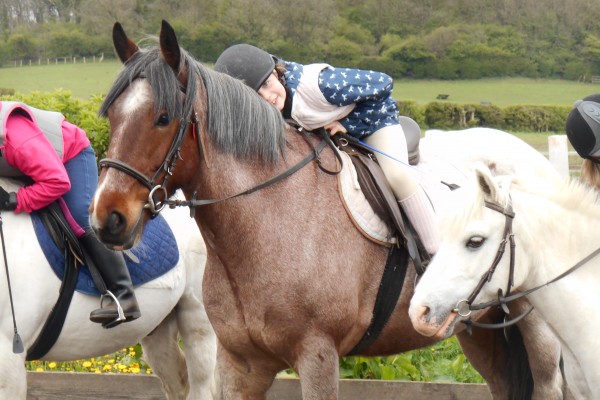 Horse Riding Newcastle