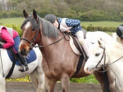 Horse Riding Newcastle