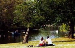 Picnic in London at Regents Park