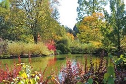 RHS Wisley