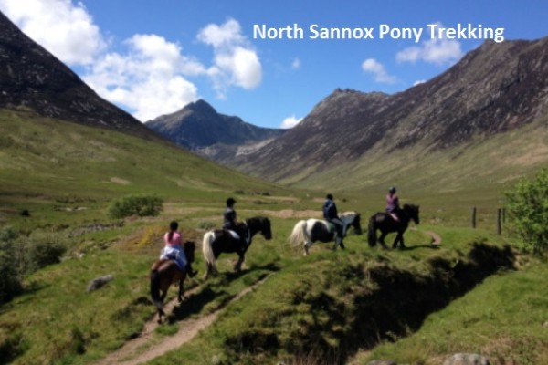 North Sannox Pony Trekking - Brodick