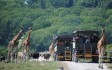 port_lympne_safari_truck.jpg