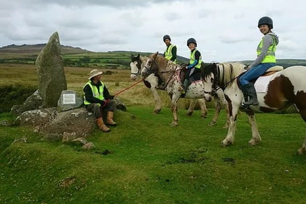 Preseli Pony Trekking