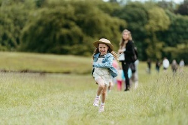 Raby Castle Deer Park