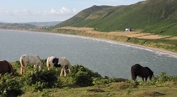 Rhossilli Bay