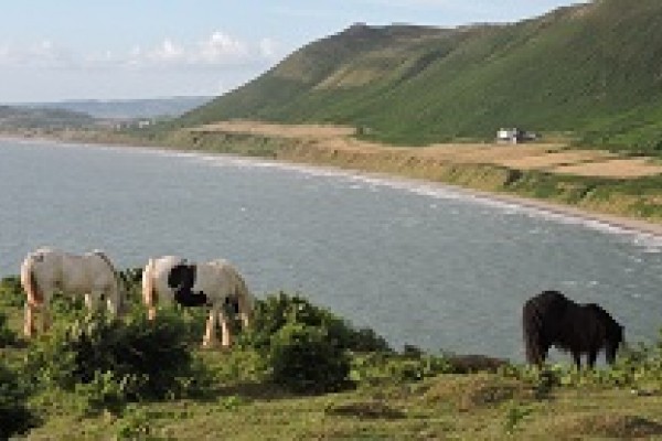 Rhossilli Bay