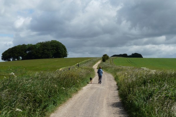 The Ridgeway at Hackpen Hill