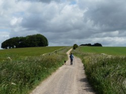 The Ridgeway at Hackpen Hill