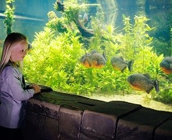 SEA LIFE Manchester 