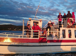 Calums Seal Trips, Plockton