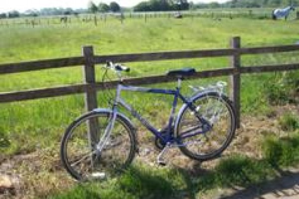 Stratford Bike Hire