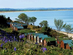 Kids Days Out Swanage