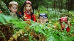 Survival Fun at Sunrise Bushcraft on Kids Days Out