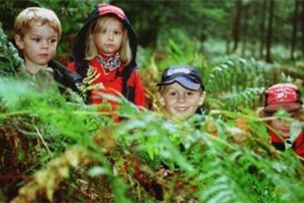 Survival Fun at Sunrise Bushcraft on Kids Days Out