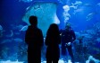 the-deep-hull-yorkshire.jpg